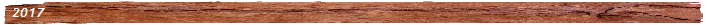 2017