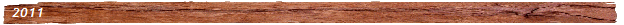 a_plank4_tr_31