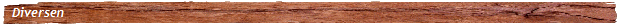 a_plank4_tr_33