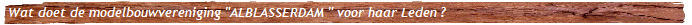 a_plank4_tr_8
